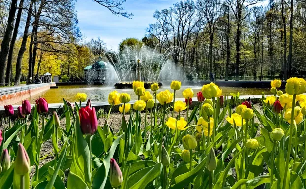 Санкт-Петербург